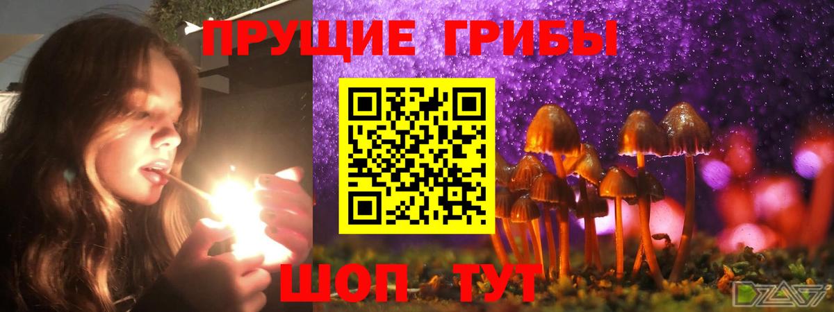 купить   Галлюциногенные грибы ЛСД  Вход с VPN  Калининград 